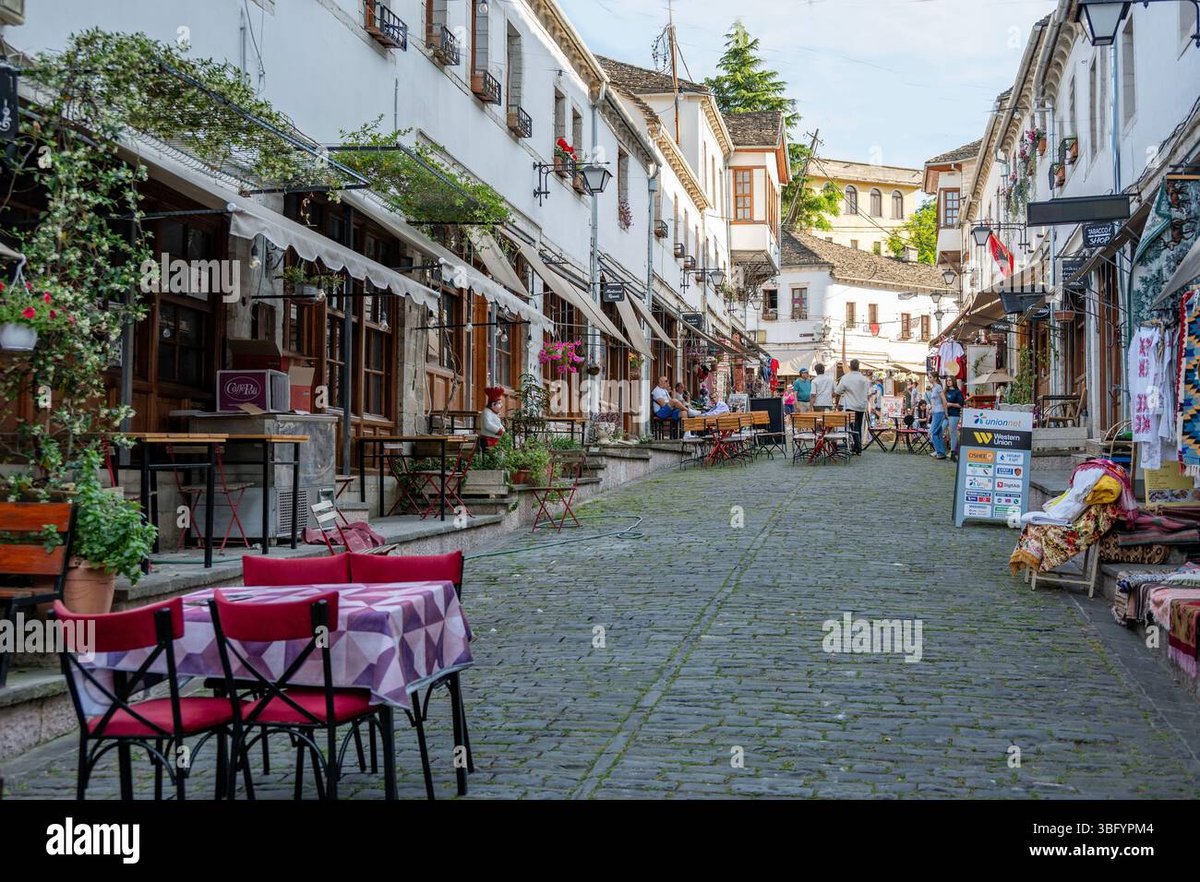 How Old Is Roronoa Zoro in Fullmetal Alchemist Brotherhood?